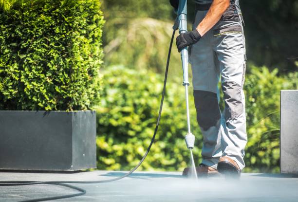 Best Solar Panel Cleaning  in Kemp Mill, MD