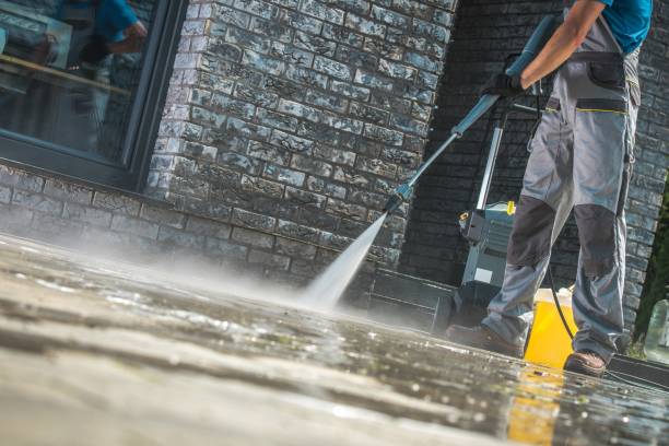 Best Driveway Pressure Washing  in Kemp Mill, MD